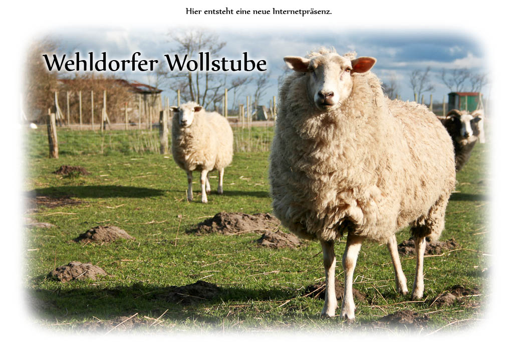 Wehldorfer Wollstube